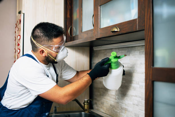 Best Insect Control  in Deerfield, MI