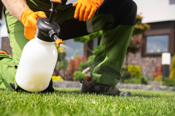 Best Spider Control Near Me  in Deerfield, MI