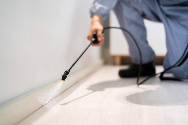 Best Cockroach Control Services  in Deerfield, MI