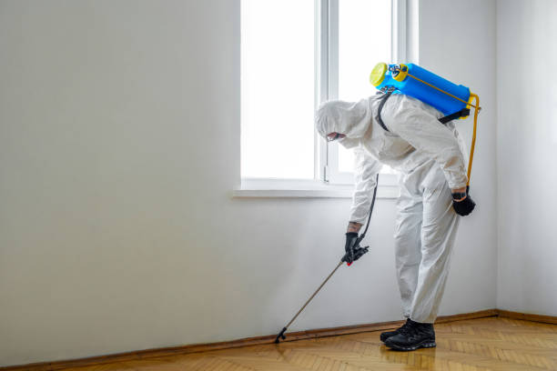Best Pest Control Near Me  in Deerfield, MI