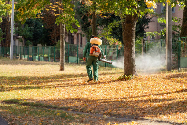 Best Pest Removal Services  in Deerfield, MI