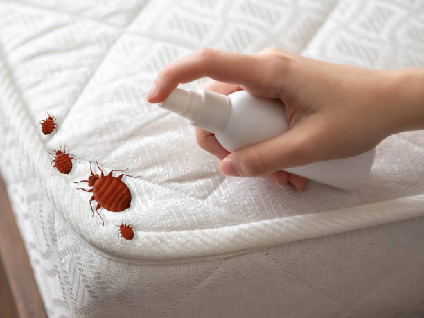 Best Bed Bug Extermination  in Deerfield, MI