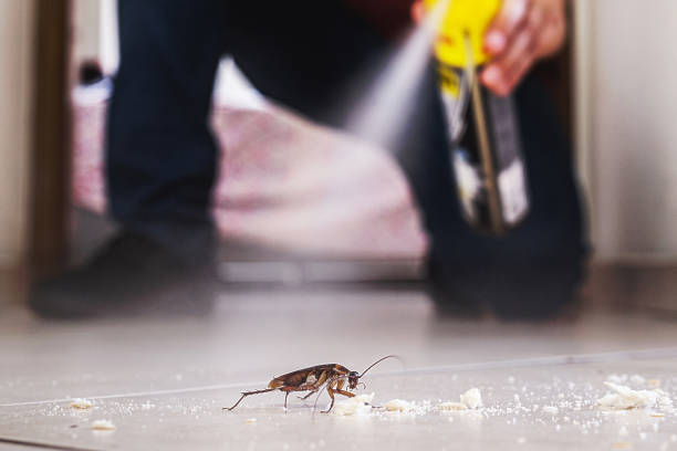 Best Affordable Pest Control Services  in Deerfield, MI