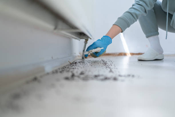 Best Affordable Exterminators  in Deerfield, MI